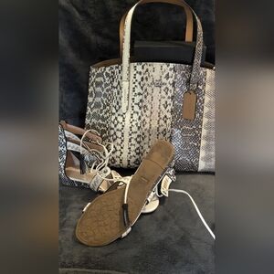 Women's Coach snakeskin straply sandals and snakeskin purse